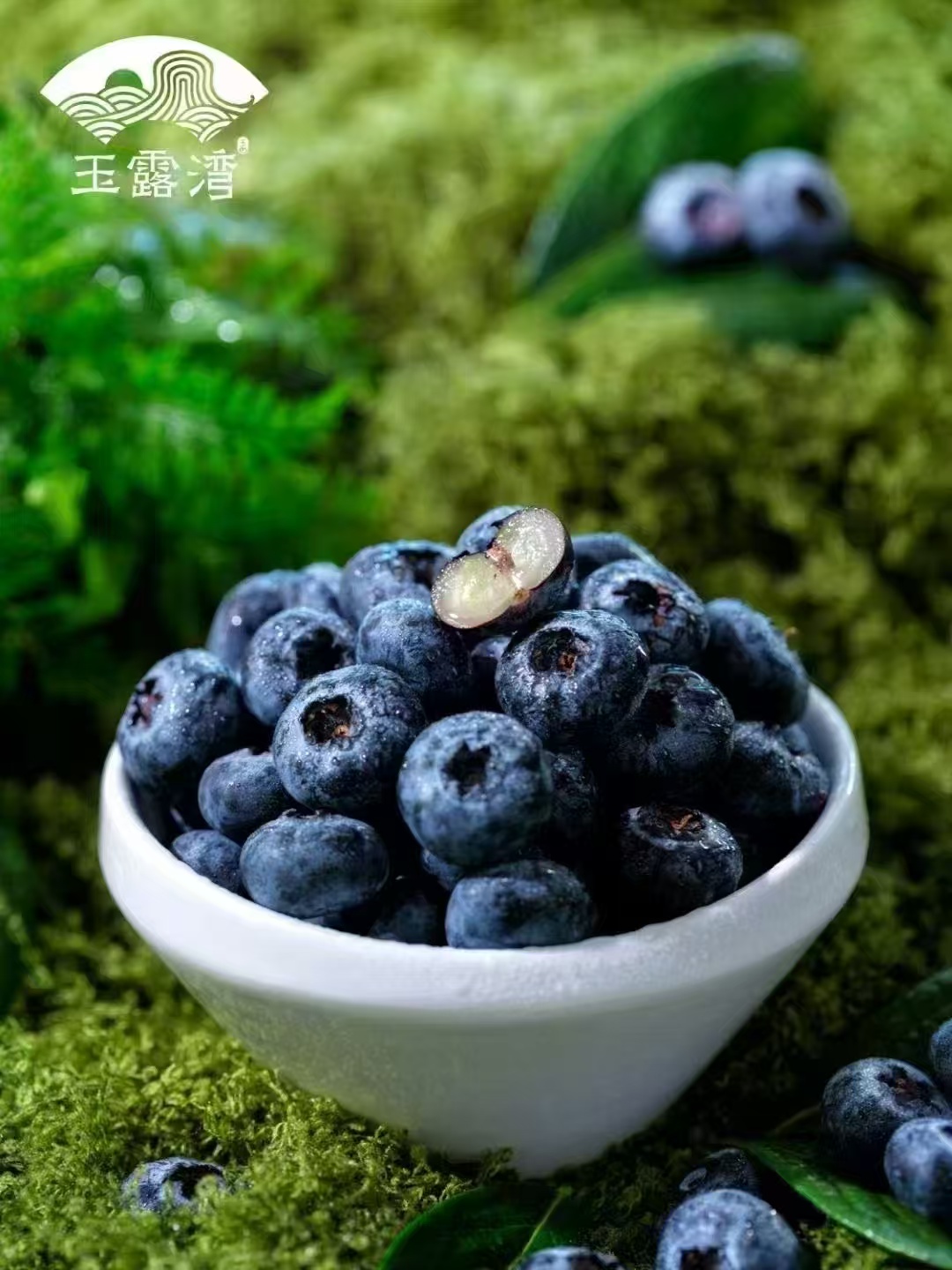 Ggpoker官网-不凡成就非凡,相信品牌的力量